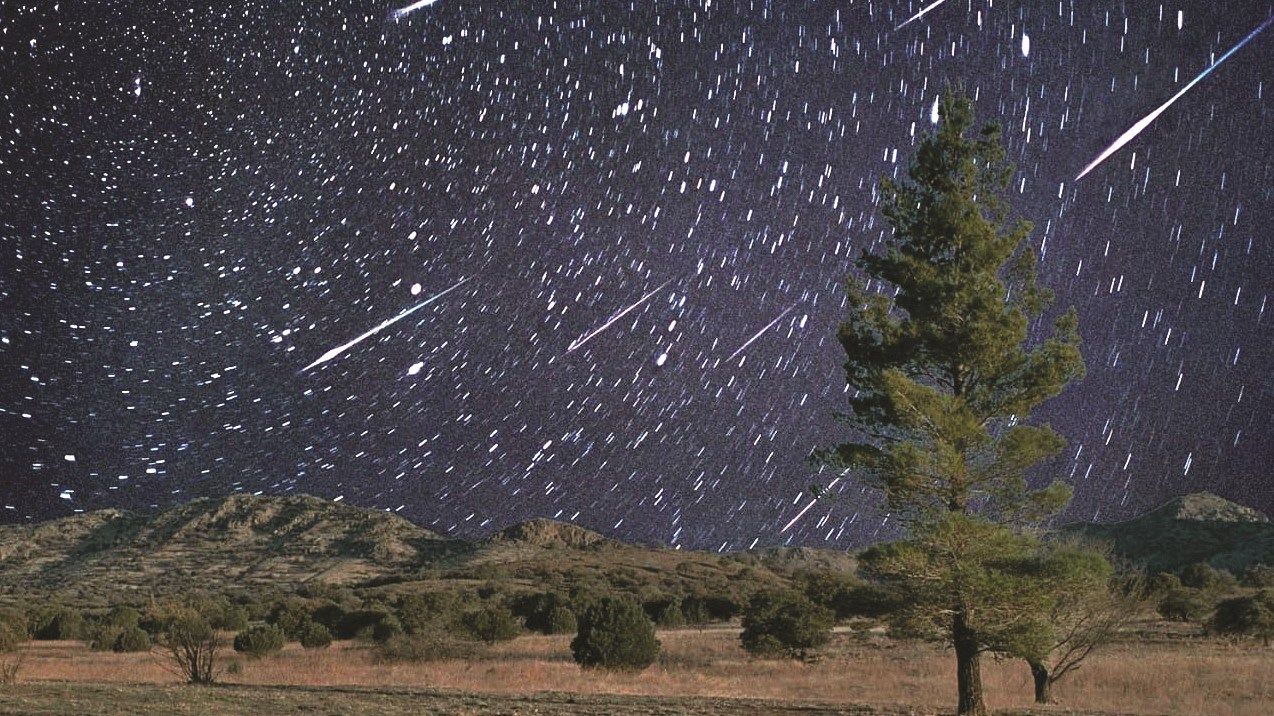 سماء الإمارات تشهد "زخات شهب الأسديات" اعتباراً من 14 نوفمبر