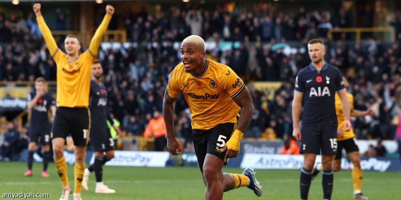 توتنهام يسقط في أرض الذئاب