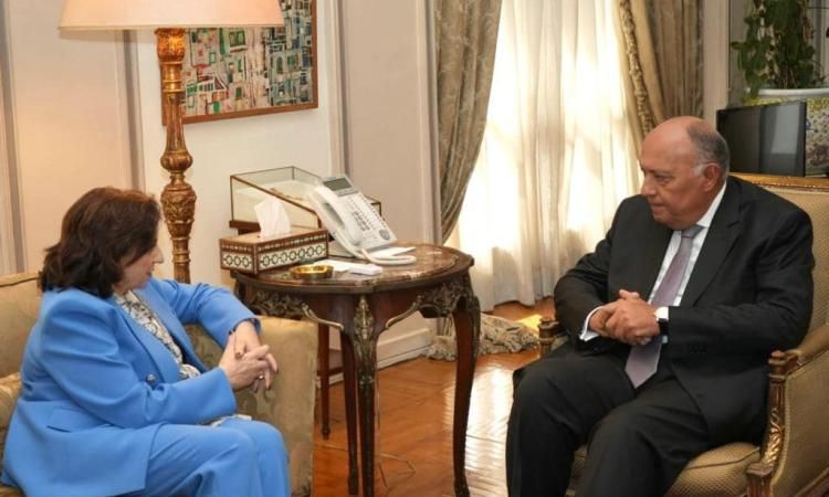 سامح شكري: الانتهاكات الإسرائيلية بحق الفلسطينيين ترقى لجرائم حرب مكتملة الأركان