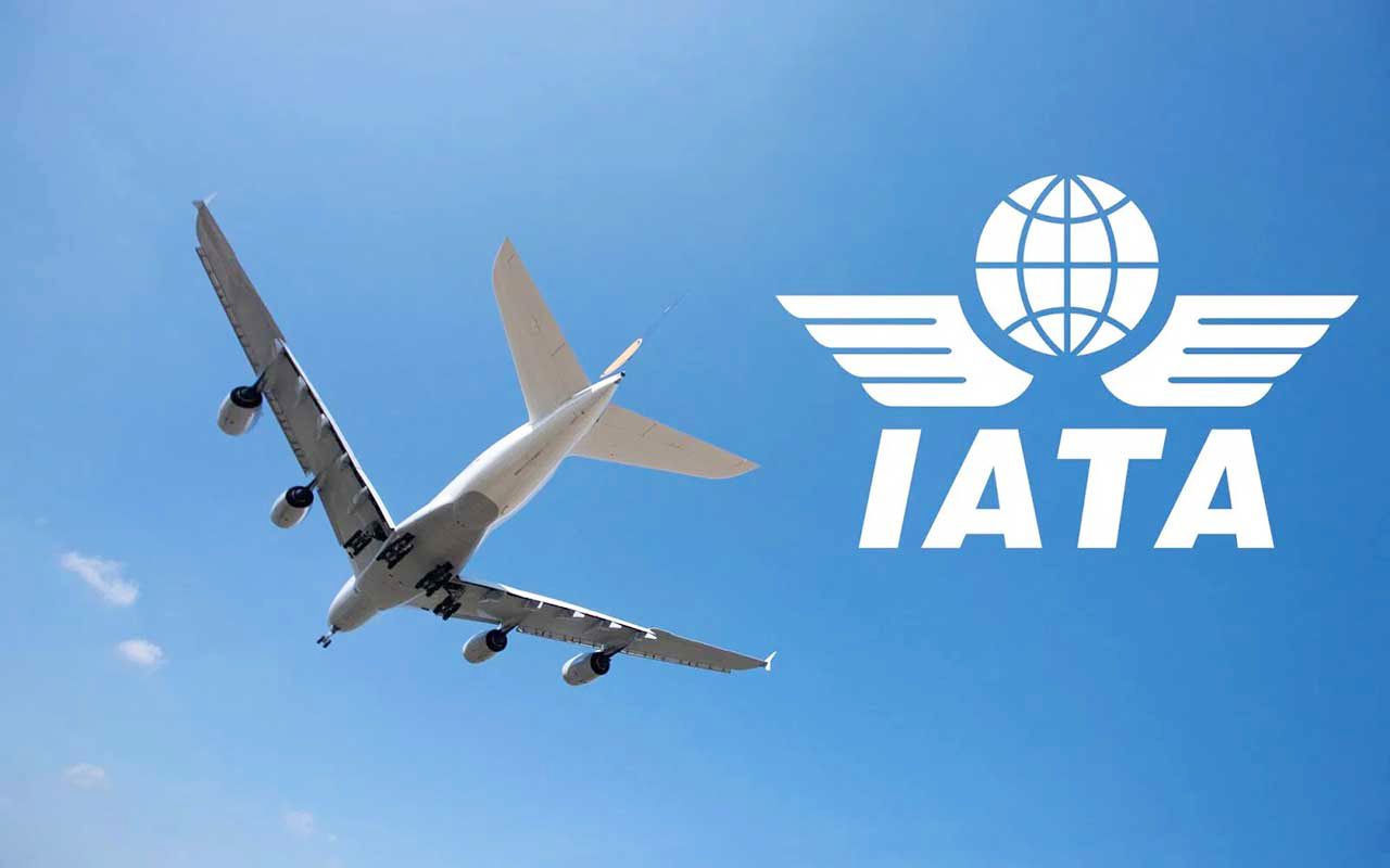 «إياتا»: 30% نمو طلب المسافرين عالمياً و26% إقليمياً في سبتمبر