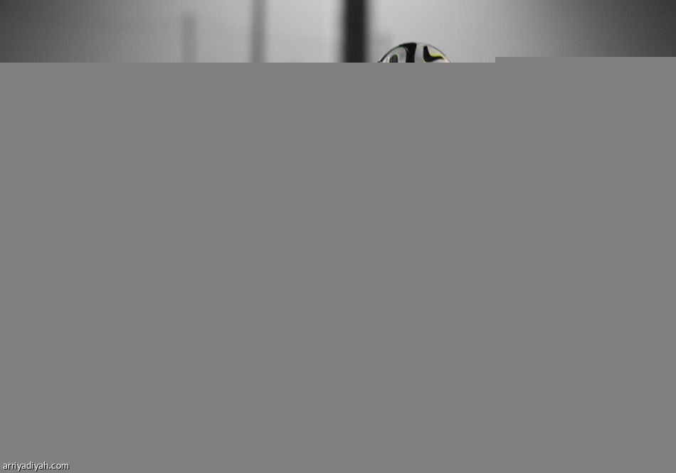 الشهراني خارج تدريبات الأخضر