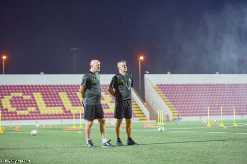 أحد يرسم خطة ميليسي