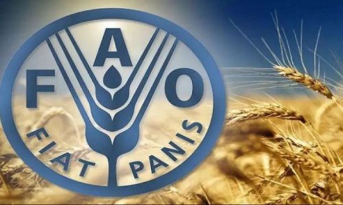 «الفاو»: السودان يحتاج إلى 4ر75 مليون دولار بموجب خطة الاستجابة الإنسانية