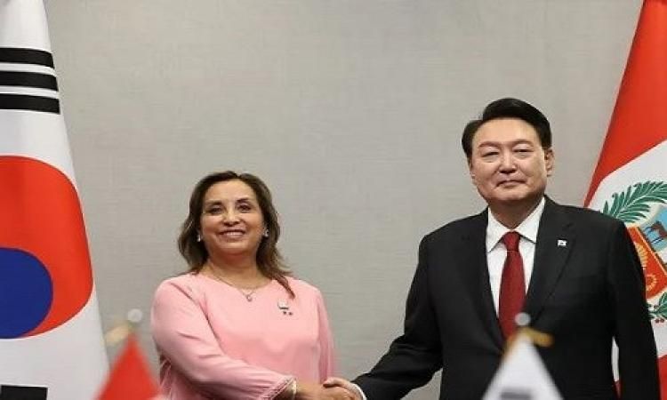 رئيسا كوريا الجنوبية وبيرو يتفقان على تعزيز التعاون في مجال صناعة الدفاع