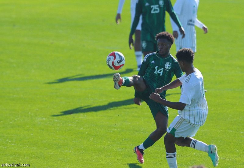 أخضر 19 يكسب صقور المستقبل