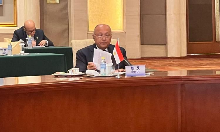 وزير الخارجية: وقف إطلاق النار في غزة لن يتحقق إلا بالضغط الدولي على إسرائيل