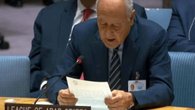 أبوالغيط: كل يوم يمُر مع استمرار العدوان الاسرائيلي على غزة يبعدنا عن سلامٍ مستدام في المستقبل