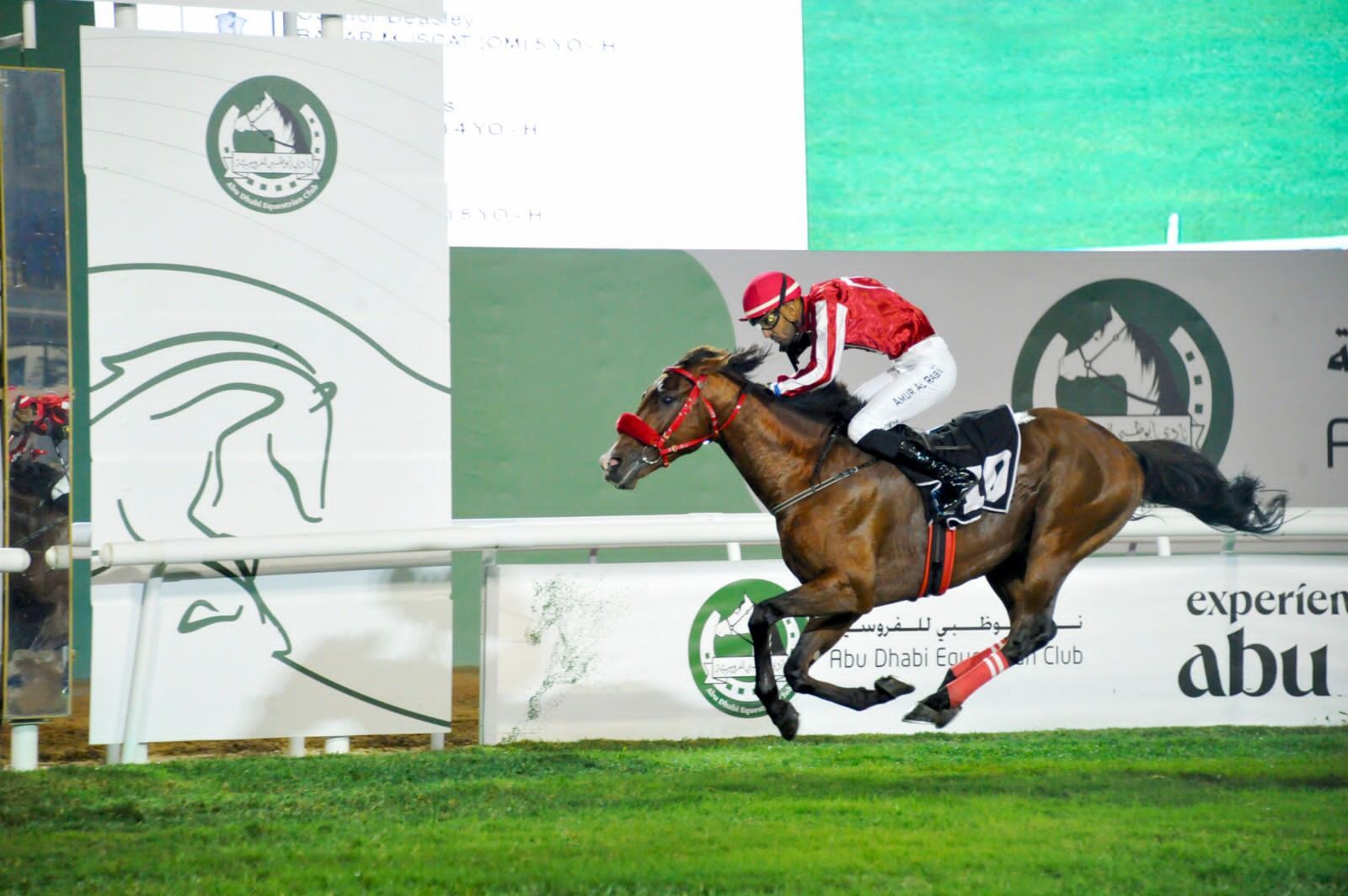 الخيول العمانية تتألق في الإمارات وتتوج بكأس زايد بن سلطان