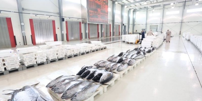 الوسطى الأعلى .. أكثر من 483.9 ألف طن إجمالي الأسماك المنزلة بالصيد الحرفي