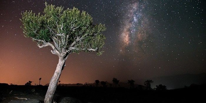 قريباً .. استراتيجية المحميات الطبيعية في سلطنة عُمان