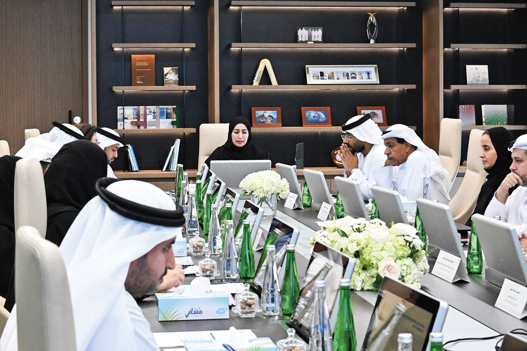 «العليا لتنسيق العمل الإحصائي» تستعرض مستجدات ترشيح الإمارات للجنة أممية