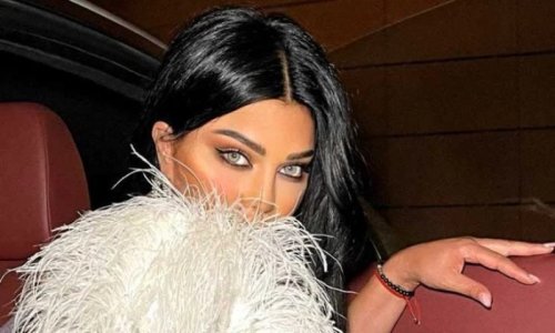 فنان شهير لن تتوقع أن يكون هو.. عاشر هيفاء وهبي وتسبب بسوء حظها.. ومتابع : يا ابن المحظوظة