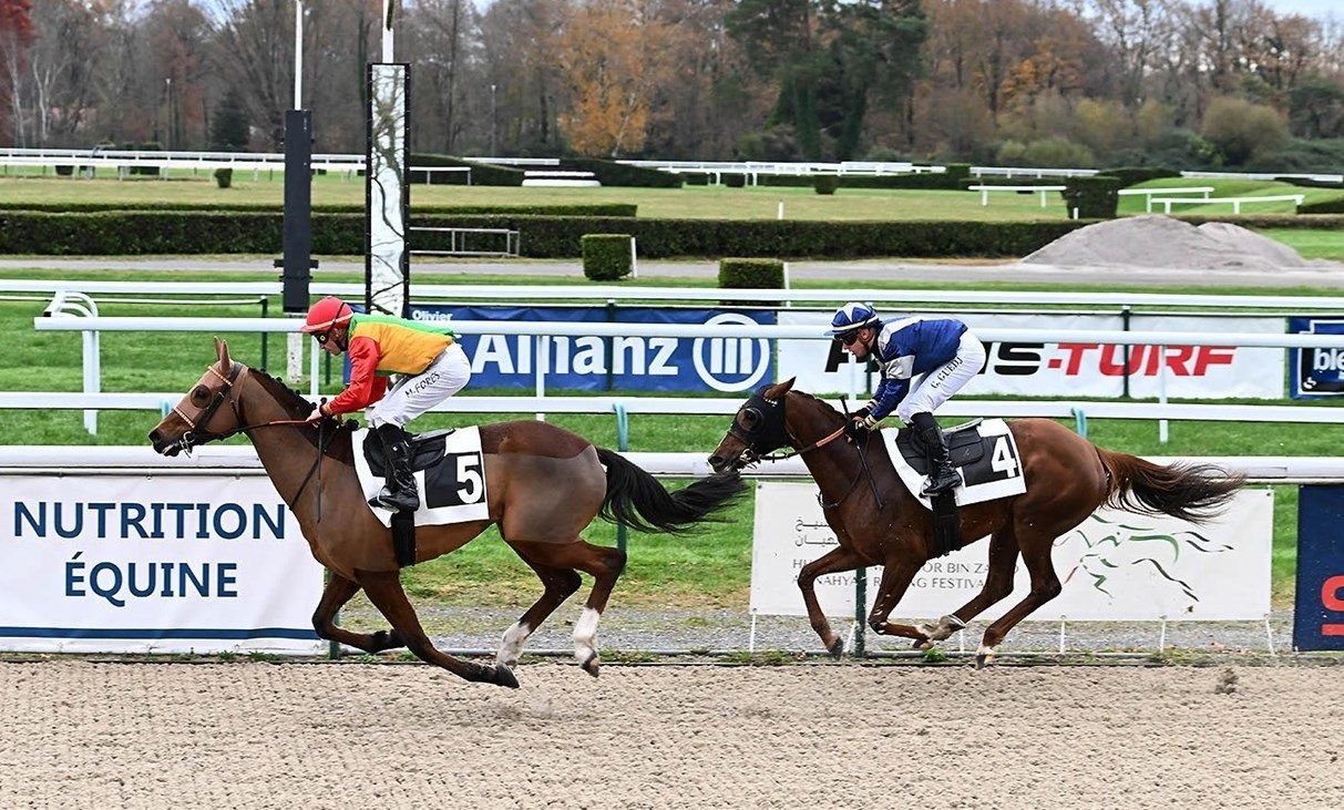 الحصان “كريم” للخيالة السلطانية يفوز بكأس مجلس أبو ظبي الرياضي للخيول العربية الأصيلة