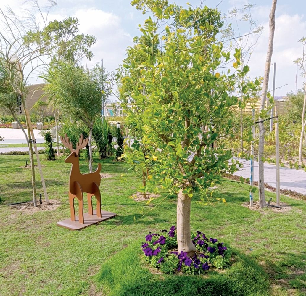 أشجار مثمرة من 80 دولة في الإكسبو