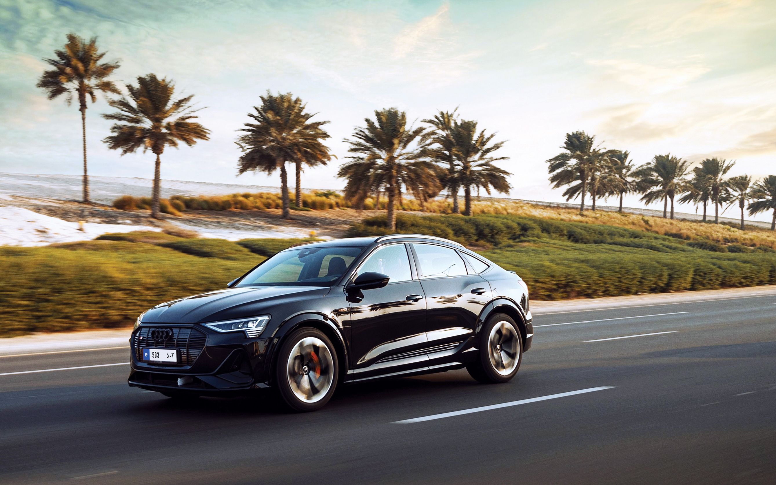 استطلاع: 43% من سكان الإمارات يرغبون في شراء سيارة كهربائية