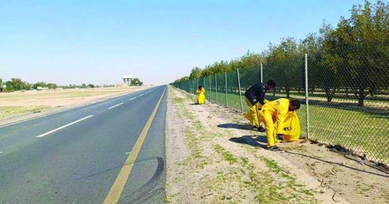 «بلدية الجهراء» تُنظف «كبد»: رفع 80 طن أنقاض وإزالة 8 سيارات مهملة