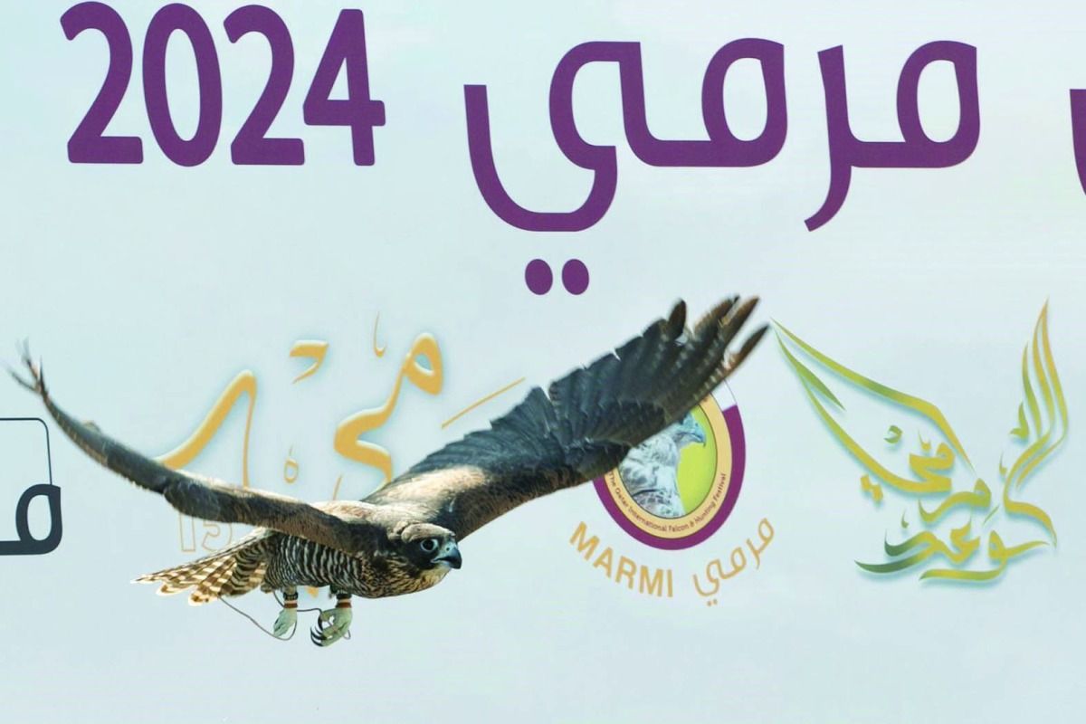 4 فئات تتنافس في نهائي الدعو الدولي بـ «مرمي»