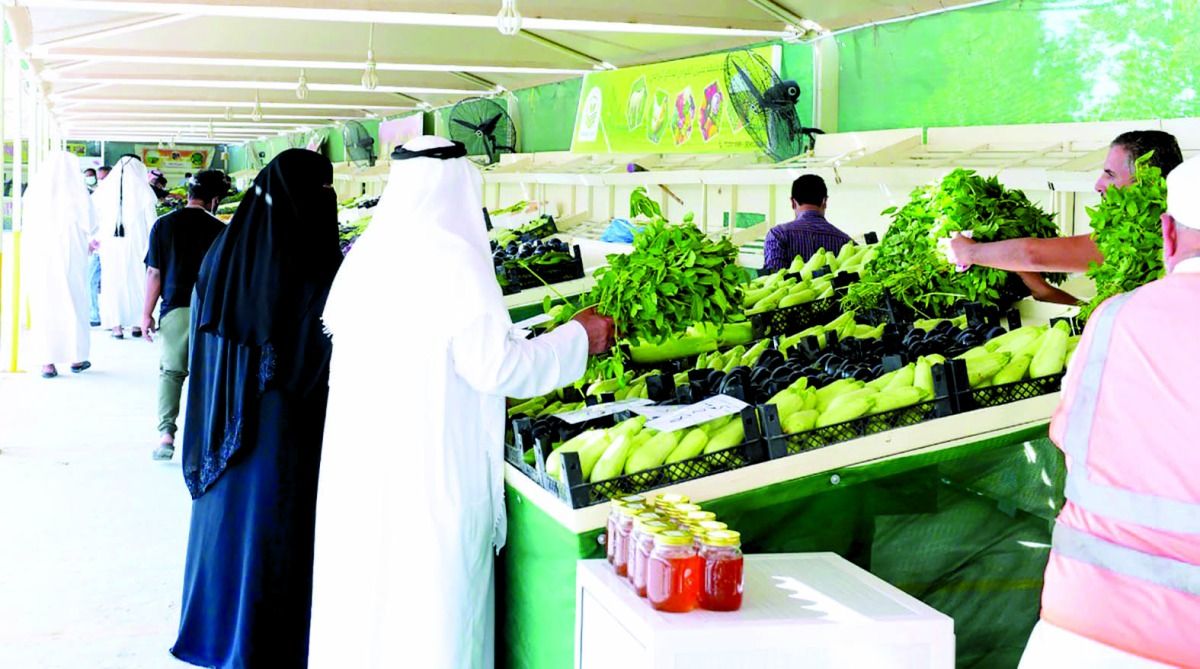 «المزروعة» تستقبل الجمهور.. على مدار الأسبوع