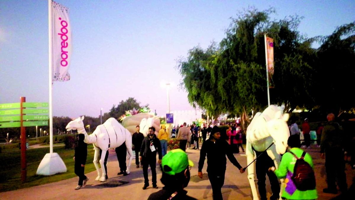 «مسير البادية» ينشر البهجة بإكسبو الدوحة