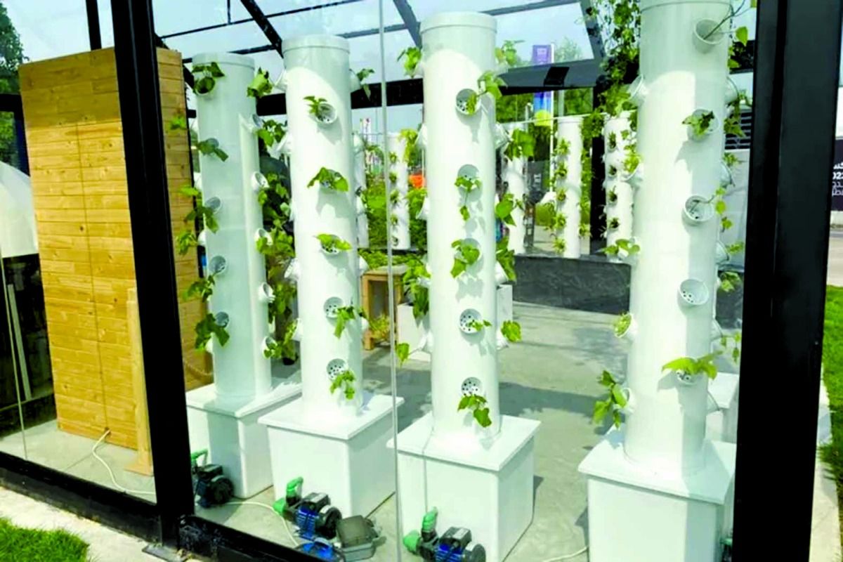 مشروع طلابي يسلط الضوء على الزراعة المائية