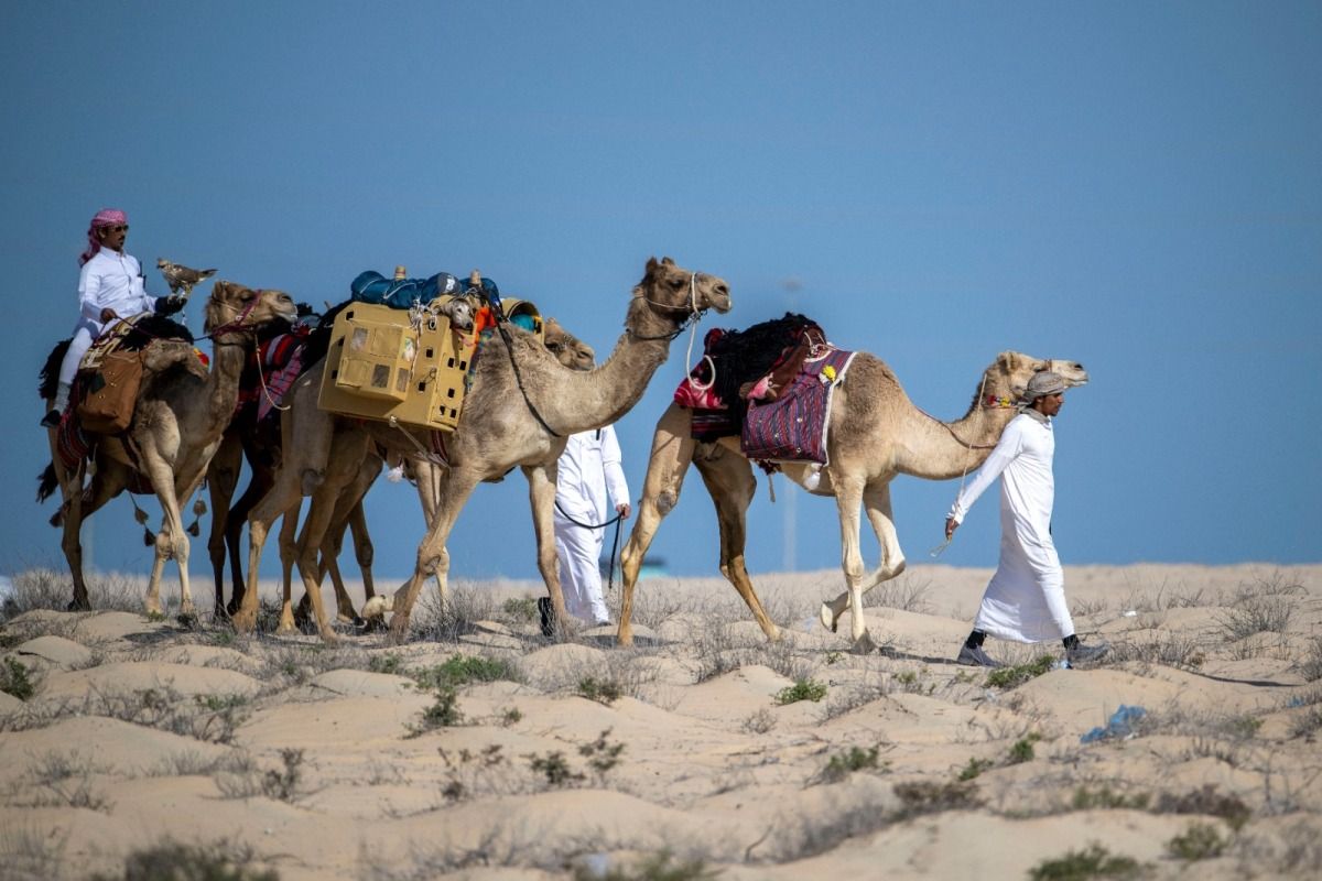 20 فريقا تتنافس في بطولة القلايل.. الإثنين