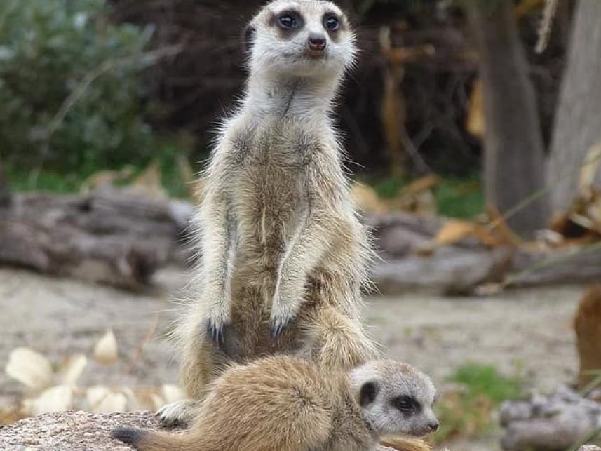 تعرف على أفضل واجمل الأماكن المغلقة للعب الأطفال في جدة 2024