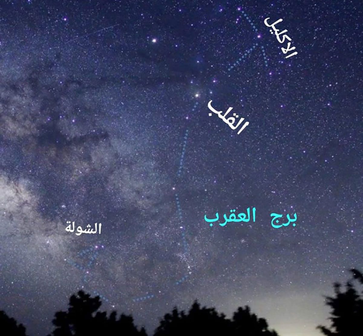 جمعية الإمارات للفلك: الأربعين العقربي تؤثر على الإمارات 6 فبراير