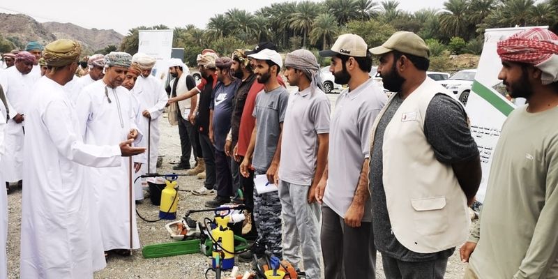 إنطلاق حملة موسعة لمكافحة سوسة النخيل الحمراء