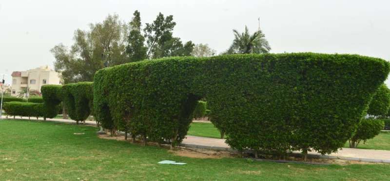 حصر معارض الحدائق في الشويخ والروضة
