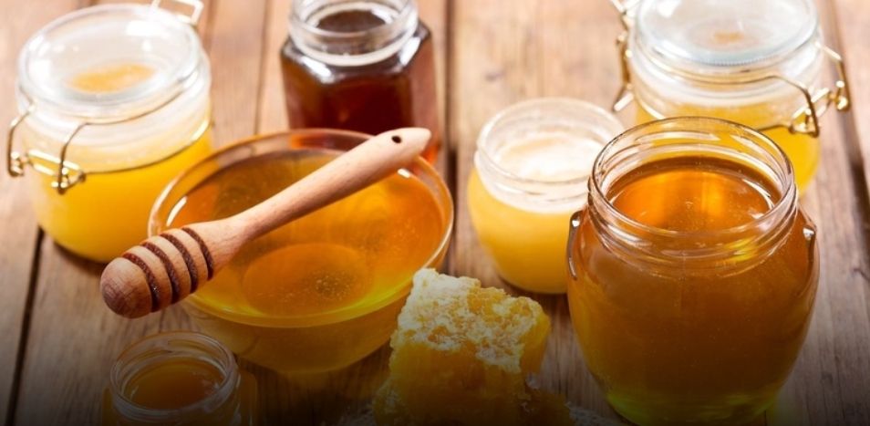 أكثر من 16 ألف خلية نحل بجنوب الباطنة خلال عام 2023