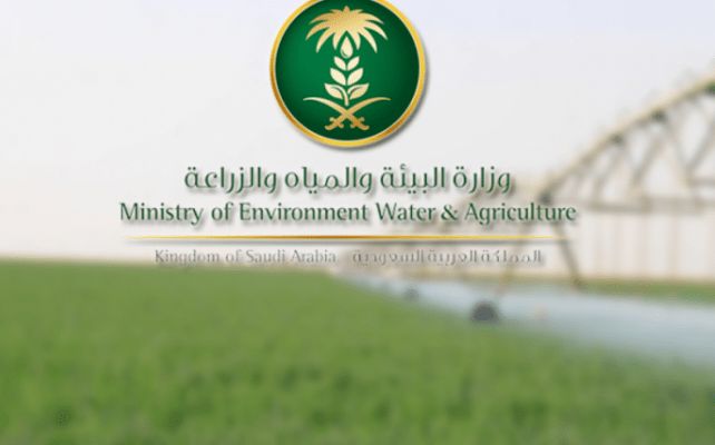 وزارة البيئة بالمملكة .. 7 مناطق تم تسجيلها بأعلى كمية هطول أمطار بها