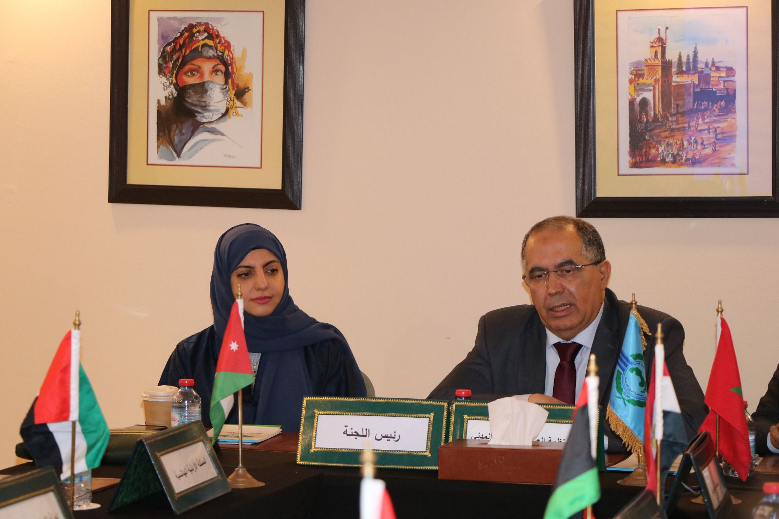 الإمارات تستعرض جهودها في إنتاج وقود الطيران المستدام