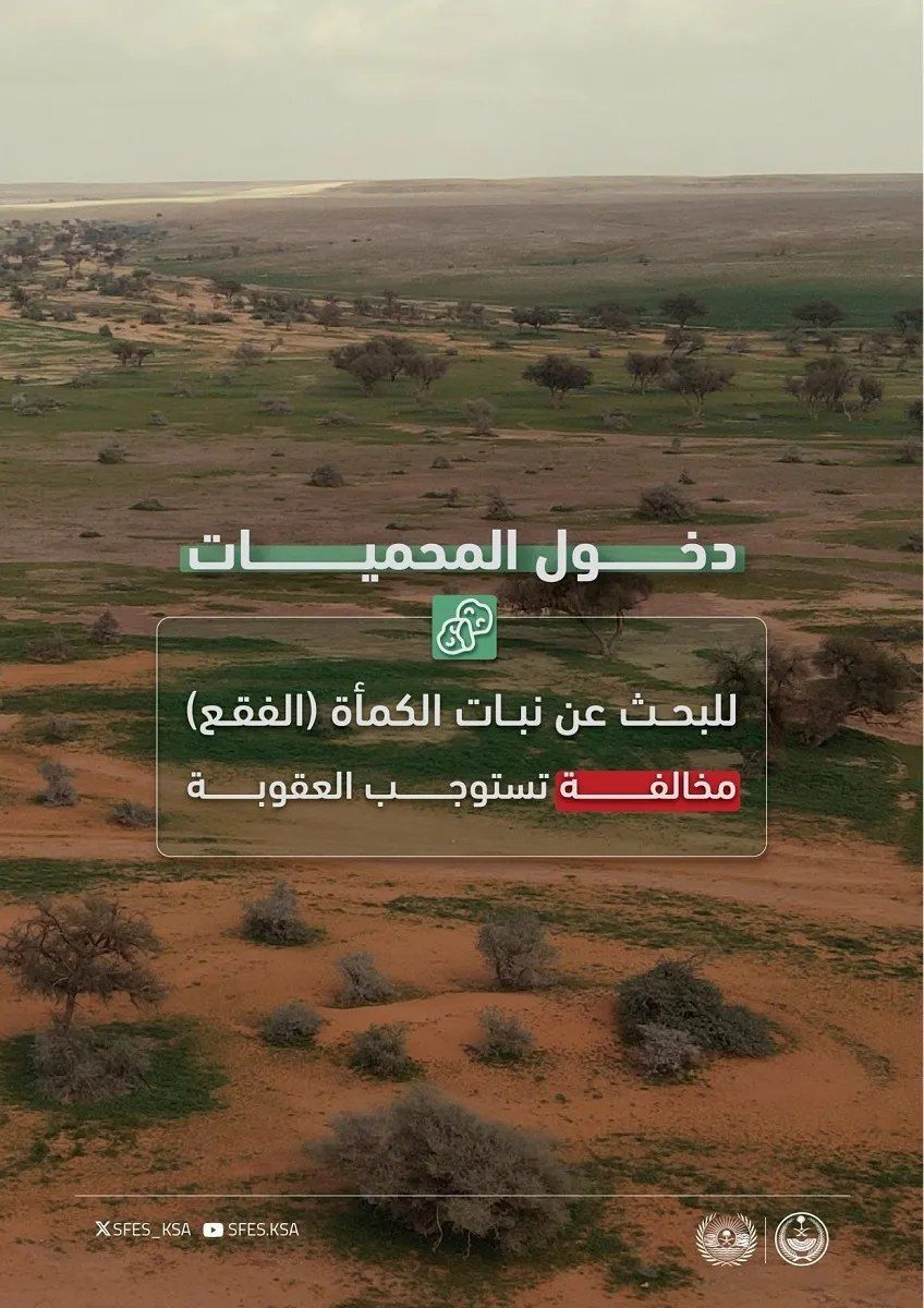 ما عقوبة دخول المحميات الطبيعية للبحث عن الفقع؟ الأمن البيئي توضح