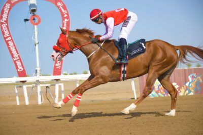 ختام ناجح لموسم سباقات الخيل بمضمار الرحبة ببركاء