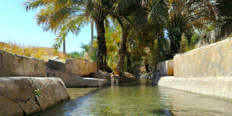 6 مشاريع بحثية للنهوض بالأفلاج العمانية