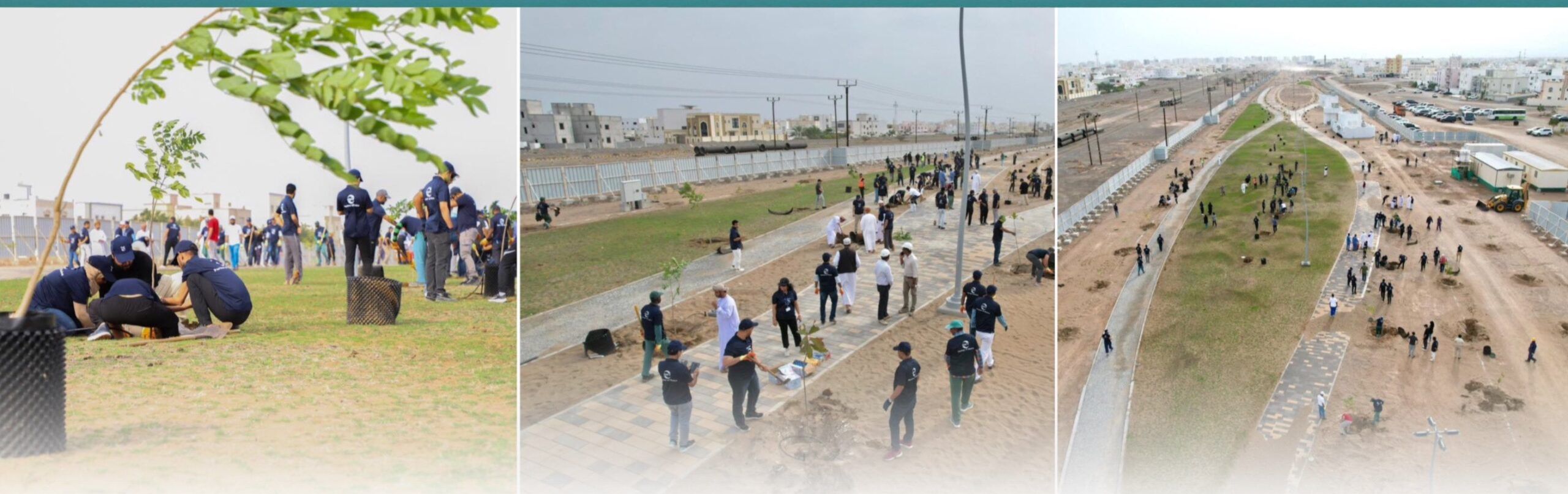 زراعة 410 شجرة في الممشى الأخضر بولاية السيب