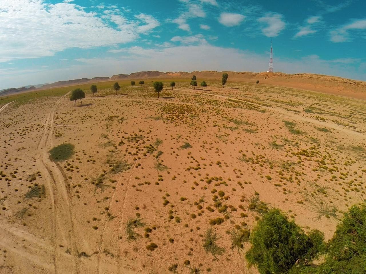 60 % نسبة الإنجاز في مشروع استزراع جِرْي الحُويّة بالبريمي