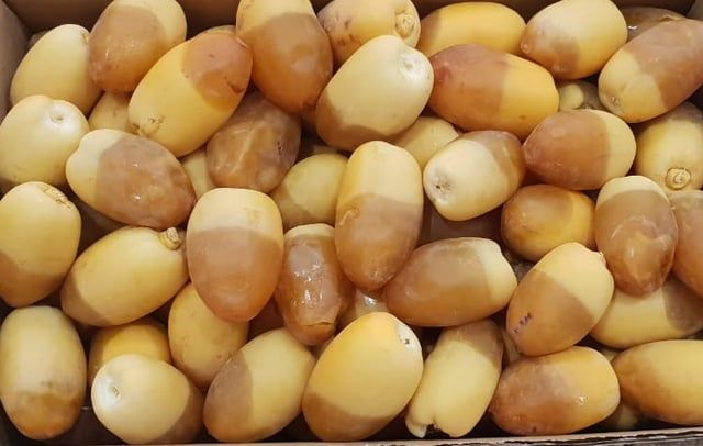 ماهي أفضل أنواع التمور في السعودية وكم سعرها؟ معلومات يجب عليك معرفتها قبل الذهاب إلى السوق