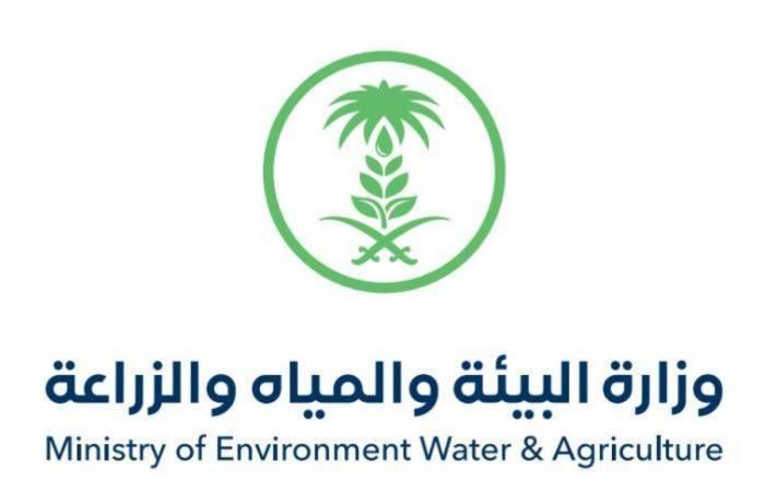 رسمياً وزارة البئية السعودية تخفض اسعار اللحوم في المملكة