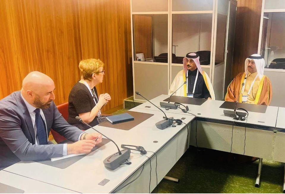مجلس الشورى يؤكد أهمية دور البرلمانيين في تحقيق السلام والاستقرار