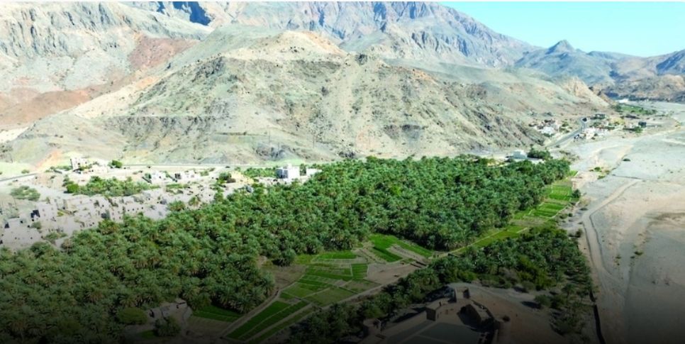 طرح 19 فرصة استثمارية بشمال الشرقية