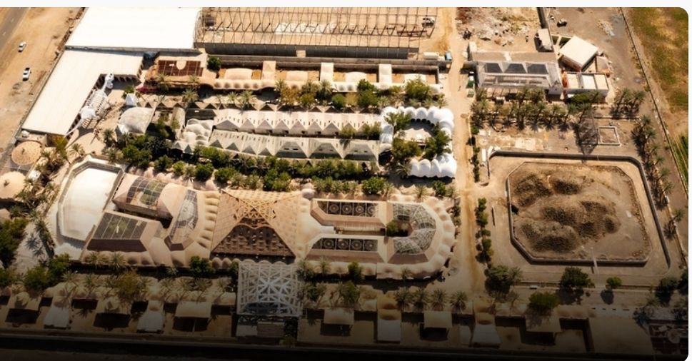 ثاني أيام العيد.. افتتاح عالم سفاري بولاية إبراء