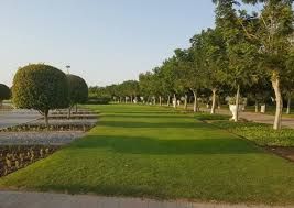 بسبب منخفض المطير .. إغلاق مؤقت للحدائق والمتنزهات