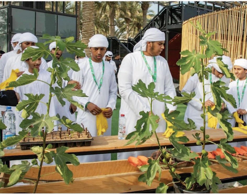 مستقبل واعد للوظائف الخضراء في الإمارات يعزز مسيرة التنمية المستدامة