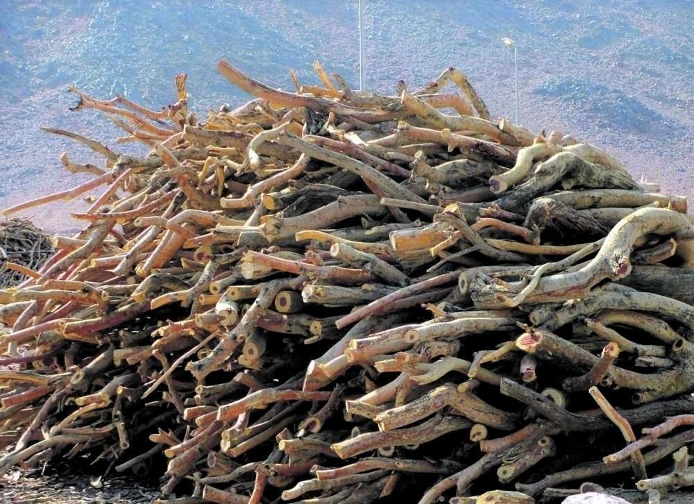 تعديل أحكام لائحة تنظيم عملية الاحتطاب والفحم النباتي