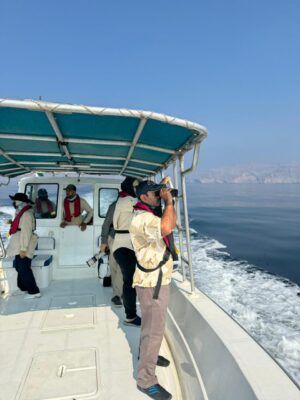 هيئة البيئة تنهي أعمال المرحلة الأولى لمشروع مسح أنواع الثديات البحرية بمسندم