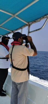 هيئة البيئة تنهي أعمال المرحلة الأولى لمشروع مسح أنواع الثديات البحرية بمسندم