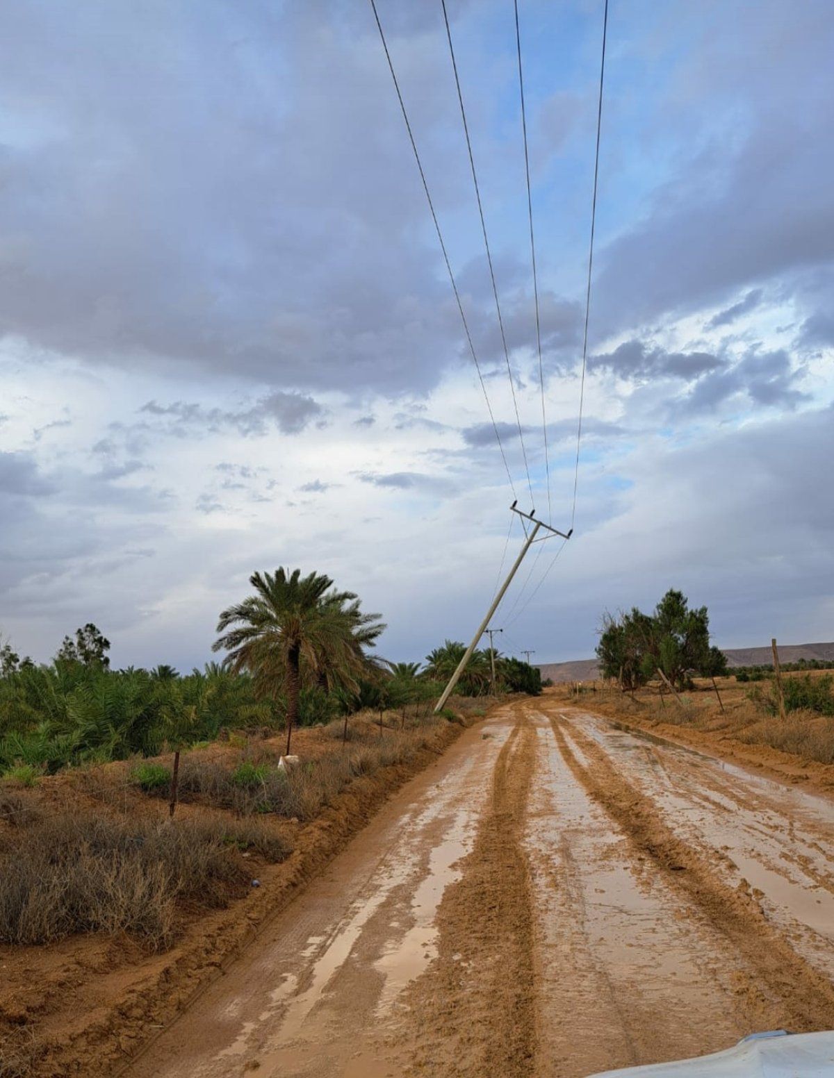 العاصفة تدمر خطوط الكهرباء وتفصلها عن الخدمة في شقراء