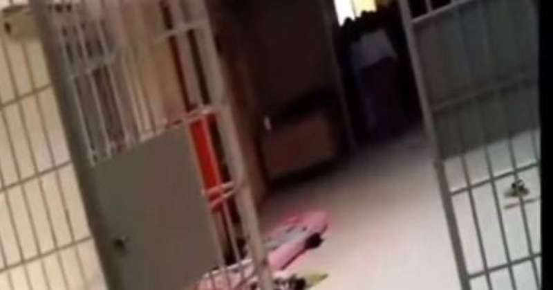 «الداخلية»: قديم.. الفيديو المتداول حول «أعمال شغب في سجن النساء»