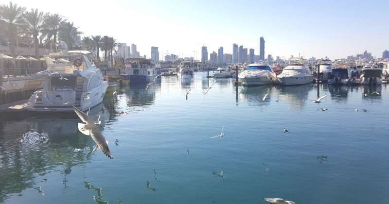 طقس «نهاية الأسبوع».. شديد الحرارة